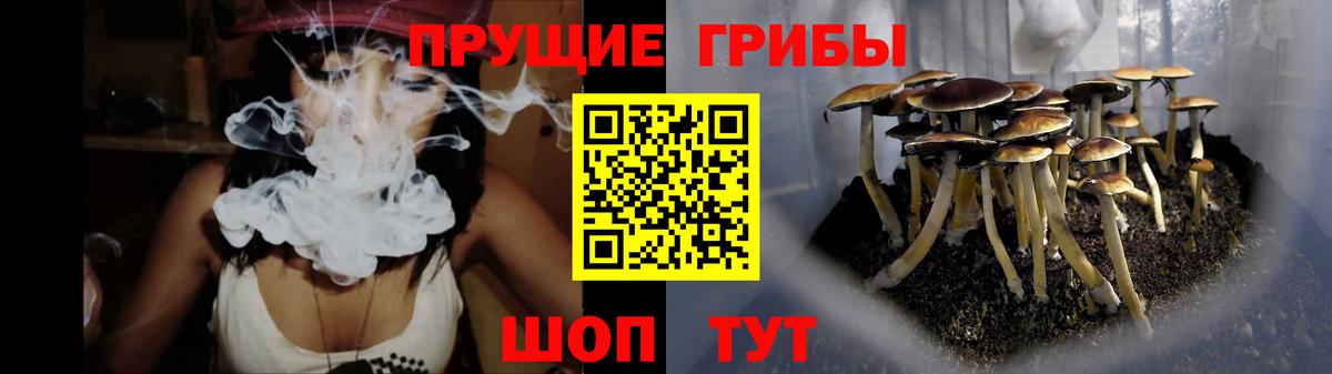 Галлюциногенные грибы мицелий  Вход с VPN  Королёв 
